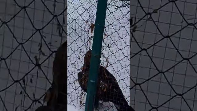 Москва зопарк