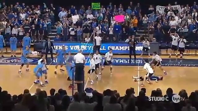 Талисман команды