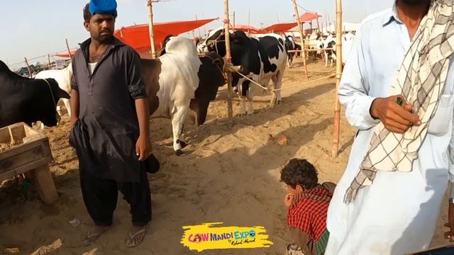 Soda Ho Gaya Hidden Camera Serious Bargaining Ki Or 2.5 Lakh Kam Karway