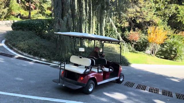 9ab2d42529609748de26dccce070476e