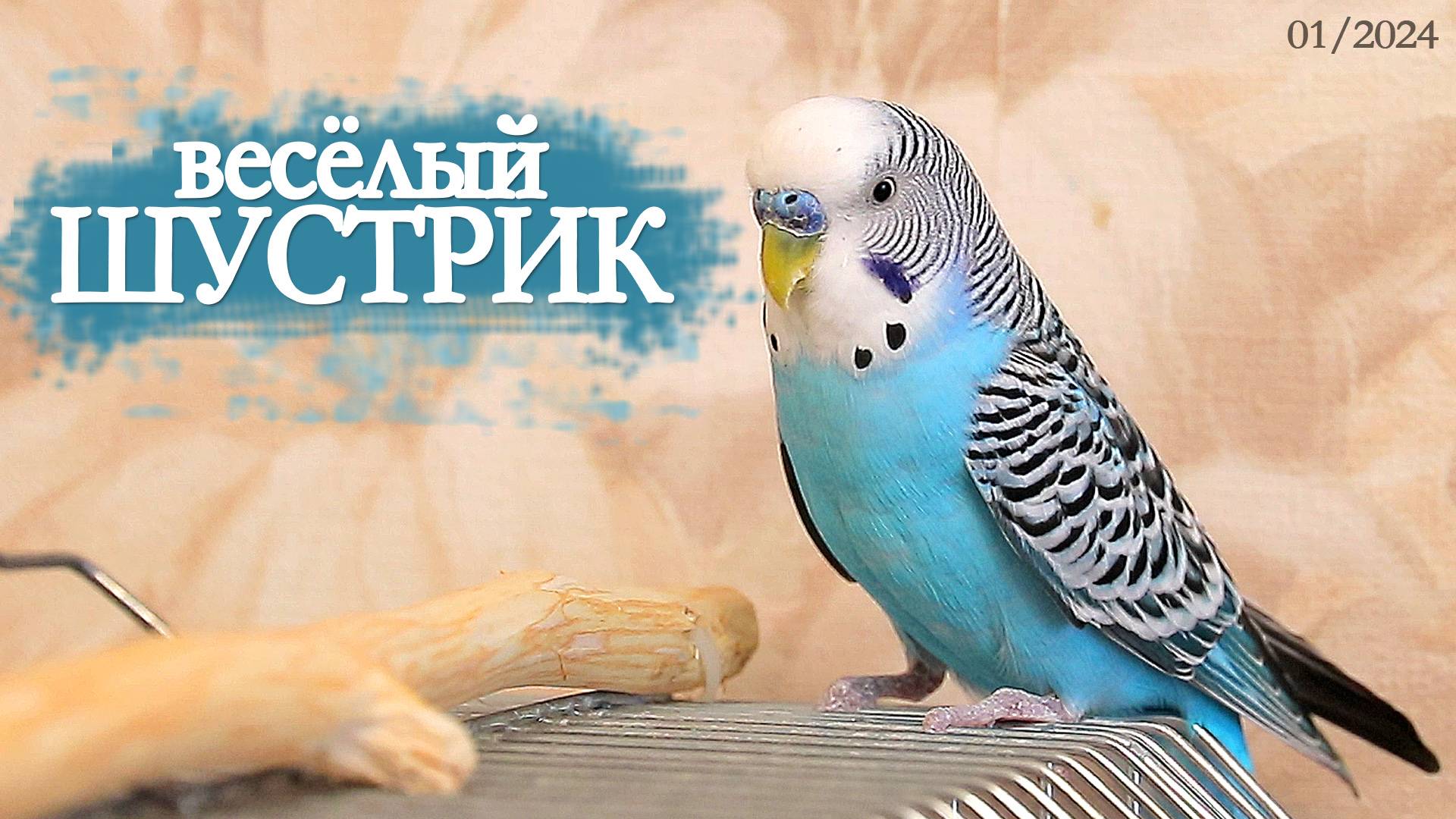 058dffe33cbb76dfb7e6c3996995f21f