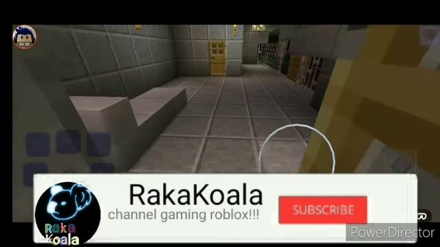 Home Of A Large Koala Family