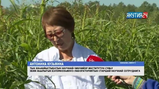 «Саха сирэ» информационнай биэрии. Атырдьах ыйын 07 күнэ, 20:30 ч.