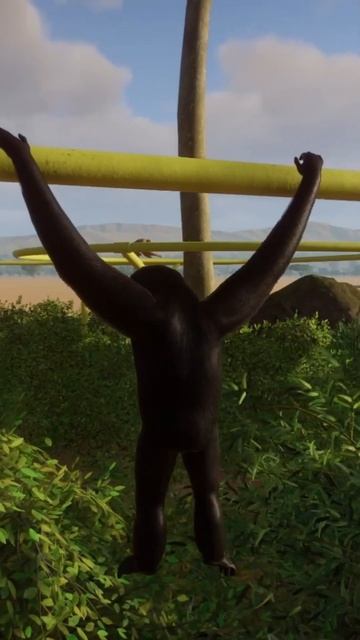 Planet Zoo - Fehérarcú Bóbitásgibbon (Nomascus Leucogenys)