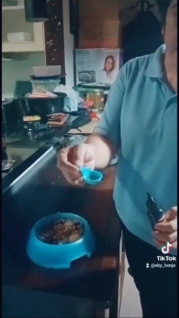 Vitamin Omega Oil Maggpro Baik Untuk Kesehatan Bulu, Kulit Dan Nafsu Makan Hewan Kesayangan Kita.