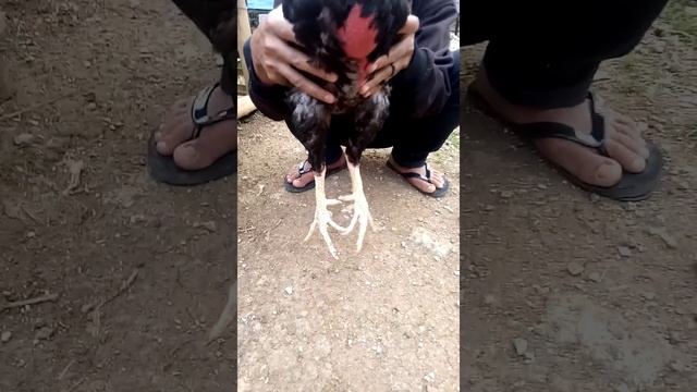 541343e71c740cc5cf97eb38a9c01f74