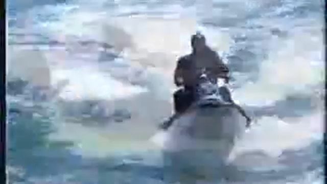 FRANCOIS HUGO RIP - AT WORK WITH HIS CAPE FUR SEALS Hout Bay SA