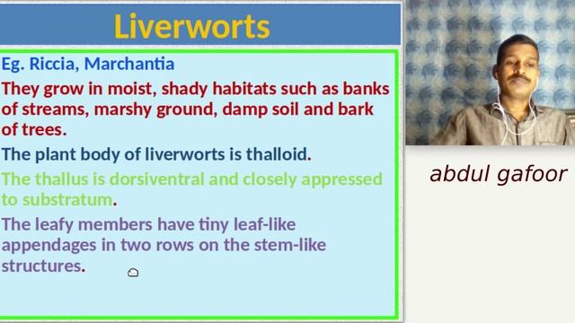 Plus One Botany Chapter 2 Plant Kingdom (Part 3 Bryophyta) Malayalam/ Focus Area