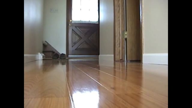 Смешные коты 4 (Funny Cats Compilation)