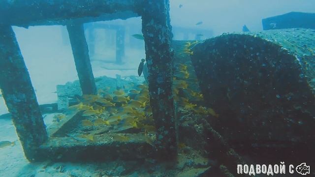 Тайланд. Песочница для начинающих дайверов в бухте Банана с искусственным рифом и затопленной лодко