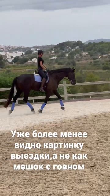 В 38 лет и в седло,теория есть,а на практике сложно #лошади #старость #спорт