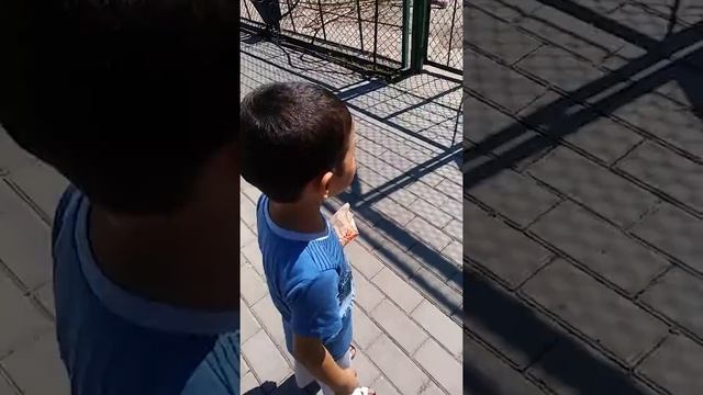 Этнопарк усть каменагорск