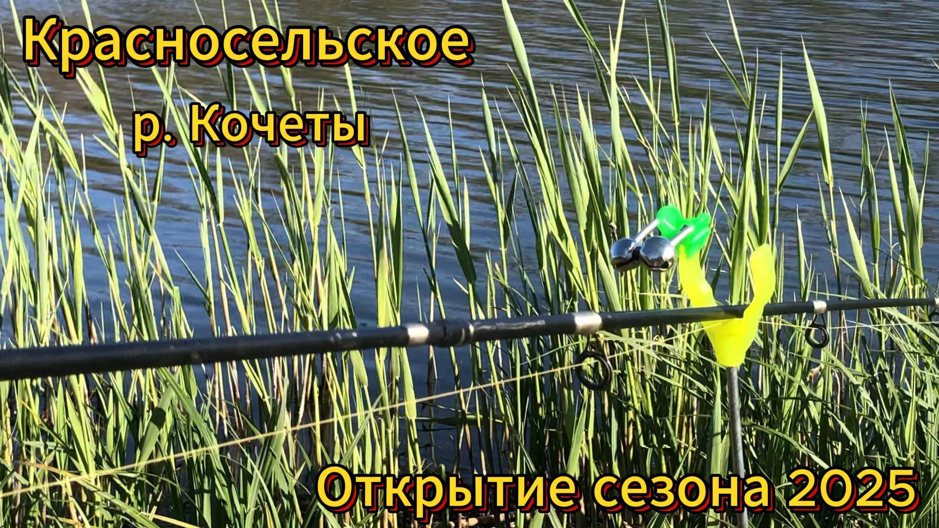 Красносельское. Река Кочеты. Открытие сезона 2025.