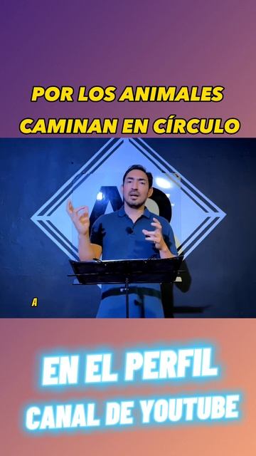 ¿PORQUE LOS ANIMALES CAMINAN EN CIRCULO? #shorts