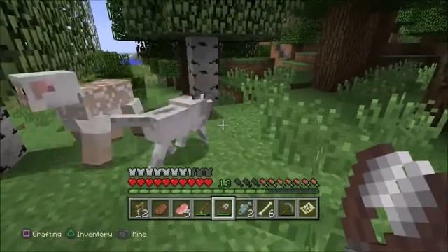 Klippe Sau/Shaving Sheep Minecraft PS4