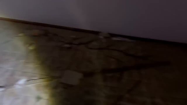 GRITOS ASSUSTADORES FORAM CAPTURADOS NESSE LOCAL!