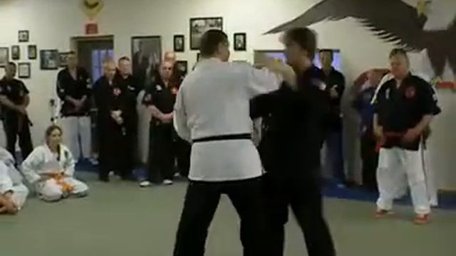 Manfred Tiefenbach From Austria Demonstrates A Knock-Out