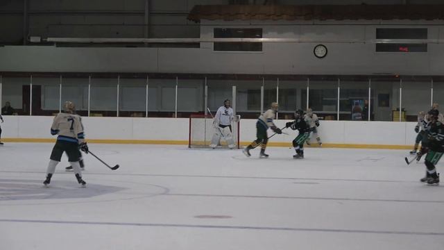 LC/SWM. Blades 10/17/22. Good 
