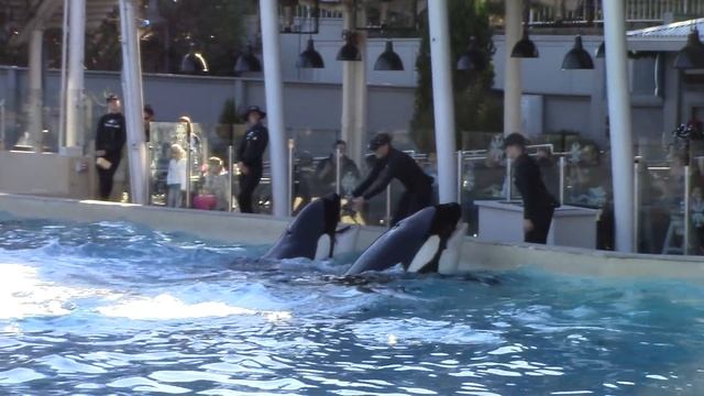 Nakai And Orkid's Flicker Bows (12/12/15)