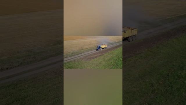 Трактор китайского производства LOVOL 904