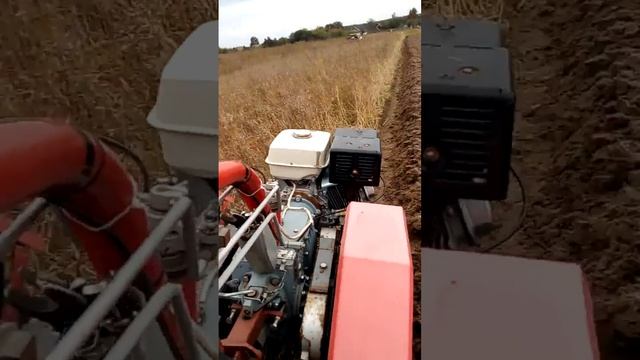 18 сентября 2022 г.