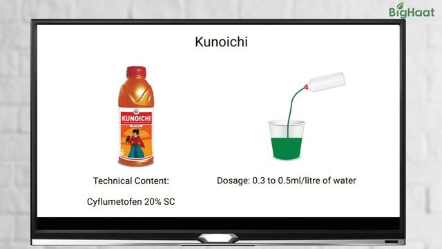 Pests During The Seedling Stage In Tomato Plants