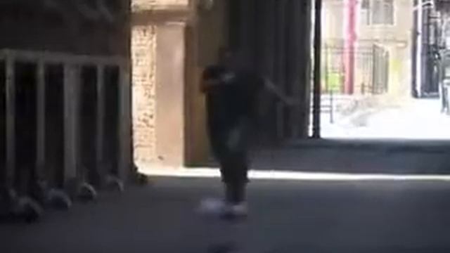 Guy Bauer Beluga Whale - The BauerLuga