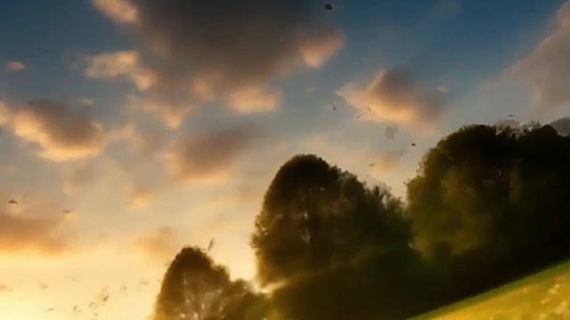 31d3685e52ee94b3c15fc7f4b2709434