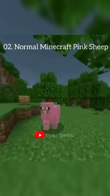 Minecraft Pink Sheep Evolution 😲