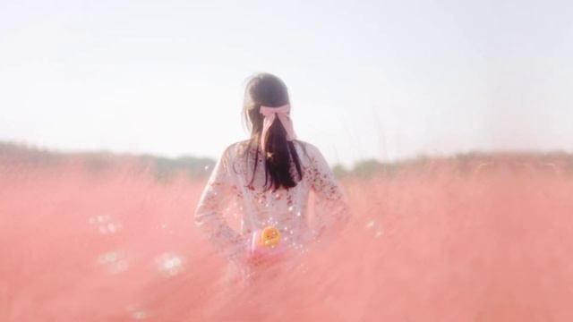 핑크뮬리보러 차차나들이갈까