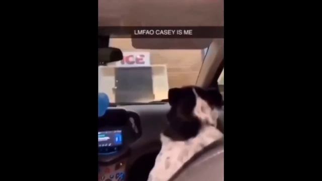 188e28528369a00b22d57dc4a068462f