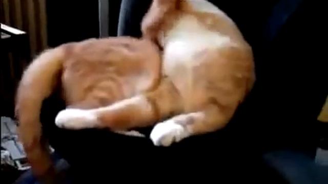 B27a9eaff76e4b480d0c17444d7bd41e