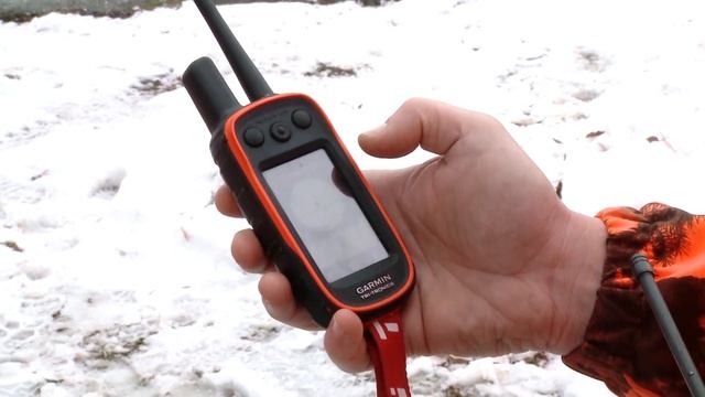 GPS Ogrlice Za Pse - Lovački Saveti