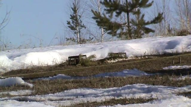 ловля юлы 28 03 2015