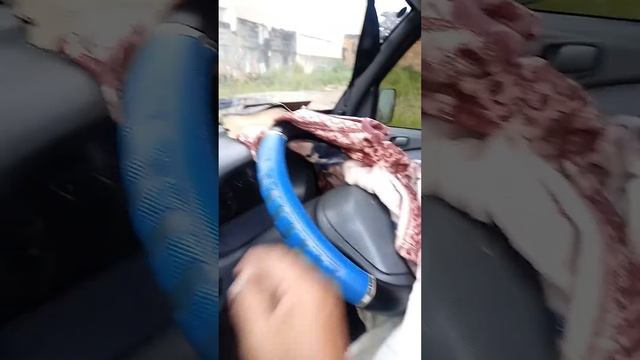 Minha Tawner Junior Hafei Ruiyi Efa (dicas) 21