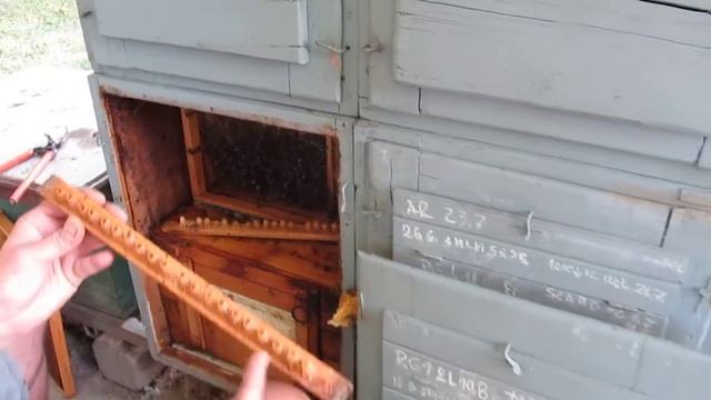 Ovako To Radi Ognjen  2   Matična Mleč