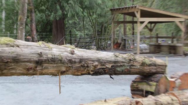 Hay Delivery And Planning And Building Paddock #8 Fencing - Day 4 (Part 1)