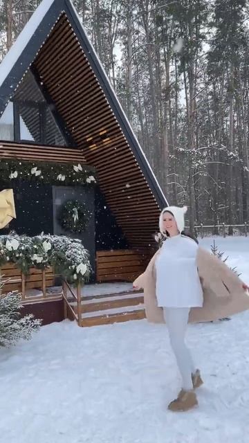 Треугольный домик зимой