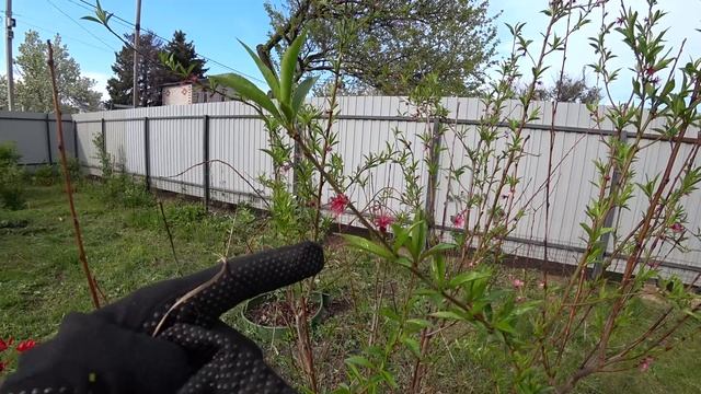 610016b62cdcb753848ff926388ab065