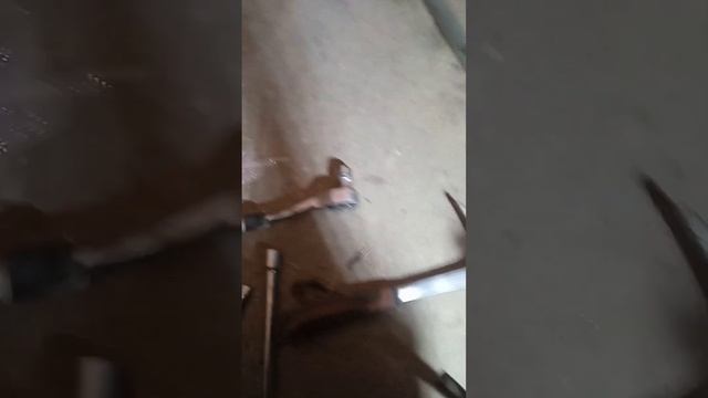 Обзорные путешествия