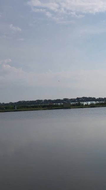 ЗОЛОТАЯ РЫБКА! #shorts #fishing #fish #рыбалка #отдых #путешествие