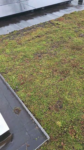 Bb5312b86918c135b57ad422ee42d18b