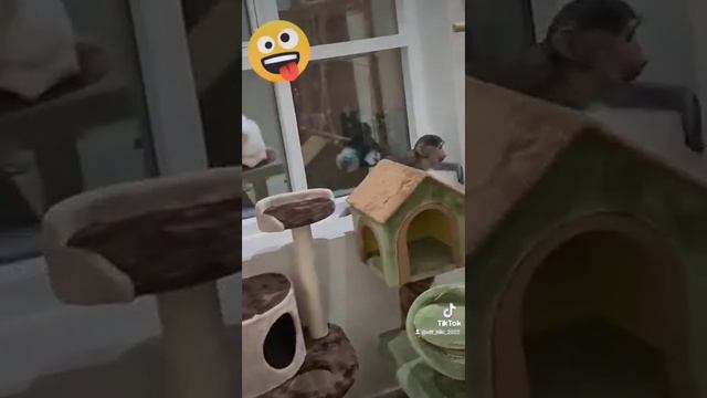 Ники схлопотала от Бакса )))