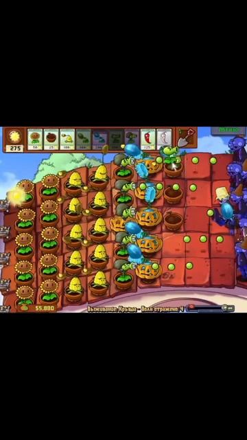 Растения против зомби. Выживание Крыша games pvz plantsvszombie