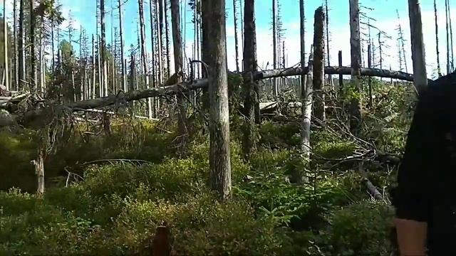 Ідем на 