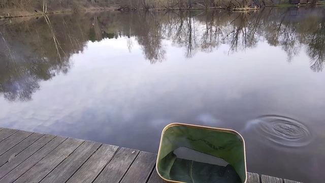 Весенний марафон!