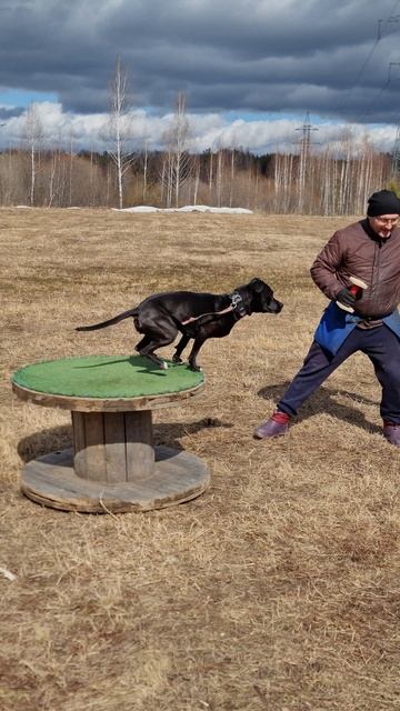 0625b779dfb439c7015976632d31f103