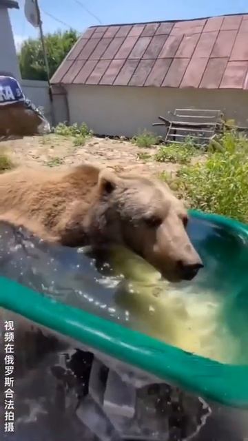 2251b44766da7fc78c3598972d352b1a