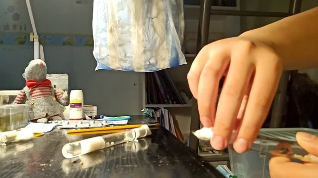 Lárva Adoptálás (Camponotus Vagus)