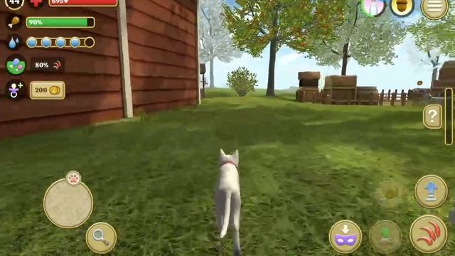 стимулятор кошки 🐱 Но пытаюсь накапить на новую породу кошки 🐱 2 (Ого уже 29 подпищиков спасибо)